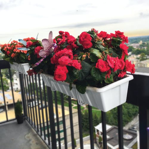 Restored Sun Joe FPH1901W Deco Joe Adjustable Flower Box Holder | 18" - 36" in Length | White (Refurbished)