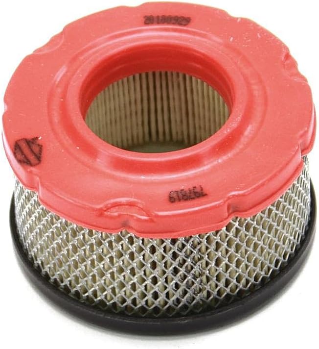 Briggs & Stratton 797819 Air Cleaner Cartridge Filter