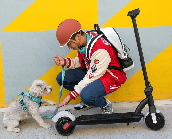 Jetson Ora Pro Foldable Electric Scooter | 250W Motor | 15 MPH | 10 Mile Range | Cruise Control | LED Display | JORAPR-BLK