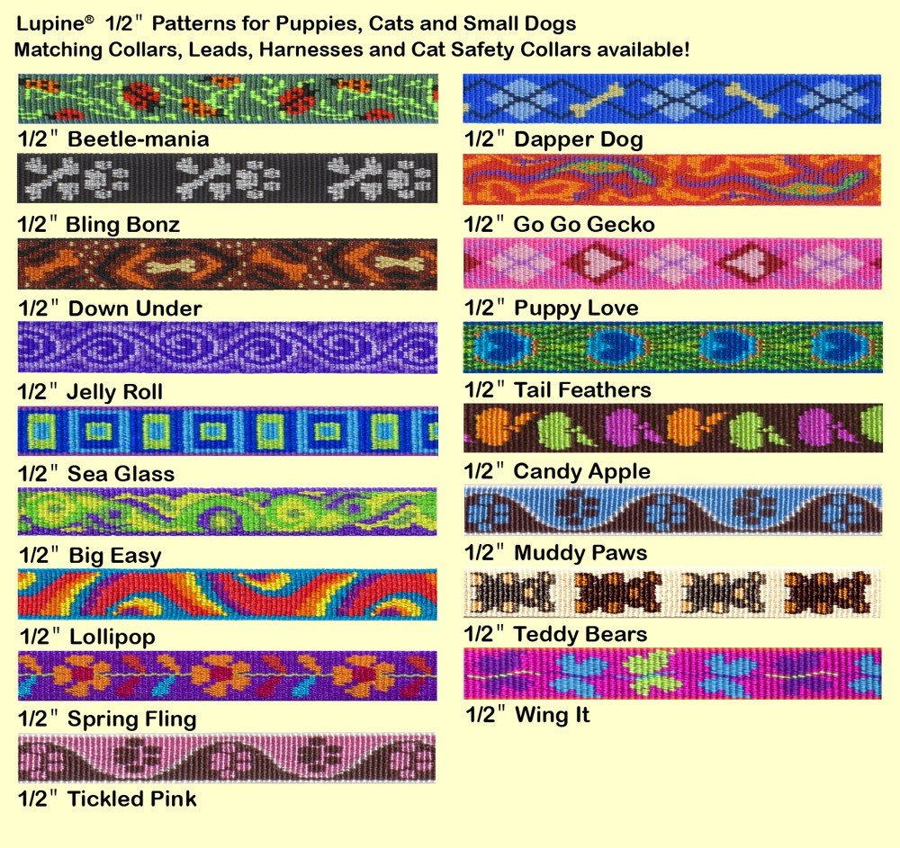 Lupine 1/2 Inch Jelly Roll Adjustable Dog Collar for Small Dogs