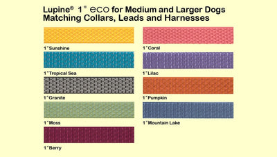 LupinePet Eco 1" Tropical Sea for Medium to Large Dogs