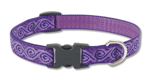 Lupine 3/4 inch Jelly Roll Adjustable Dog Collar