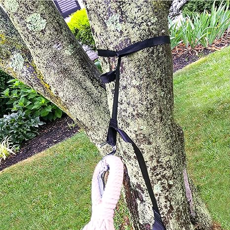Bliss Hammocks Multi-loop Hammock Tree Strap Suspension System | Adjustable Tree Straps & "S" Hooks Included