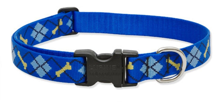 Lupine 1 Inch Dapper Dog Adjustable Dog Collar for Medium and Large Dogs