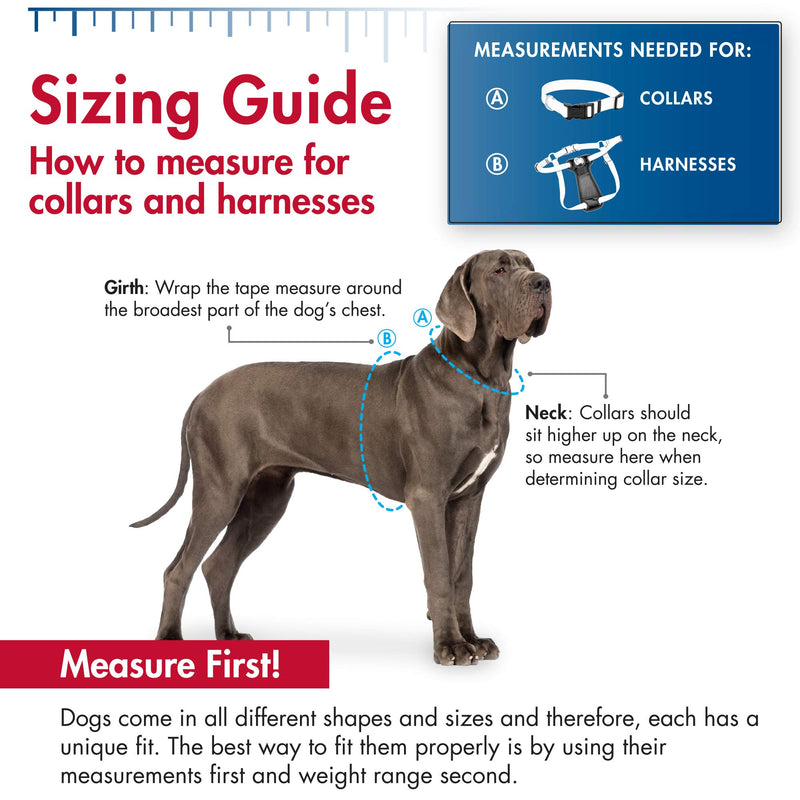 Easy Rider Car Harness for Dogs