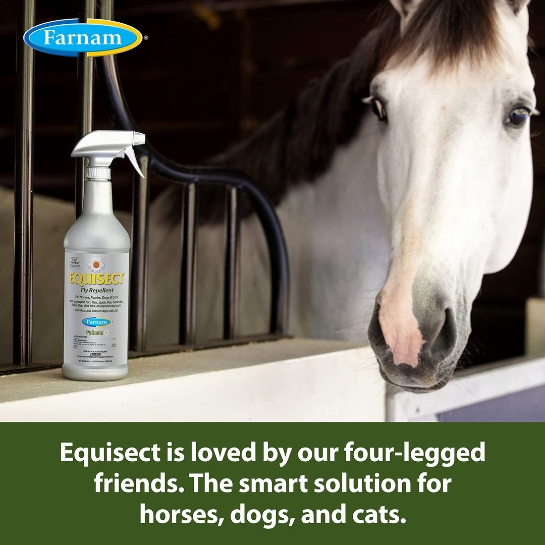 Farnam 3002536 Equisect Botanical Fly Repellent for Horses, Dogs and Cats, 32 Fl Oz (Pack of 1), None