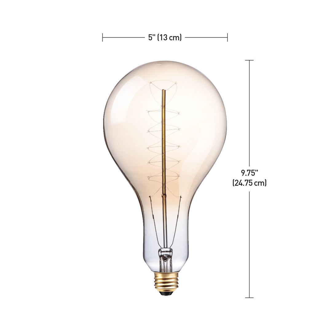 Globe Electric Oversized Vintage Style 100W Clear Glass Dimmable Incandescent Light Bulb, E26 Base, 400 Lumens, 80126